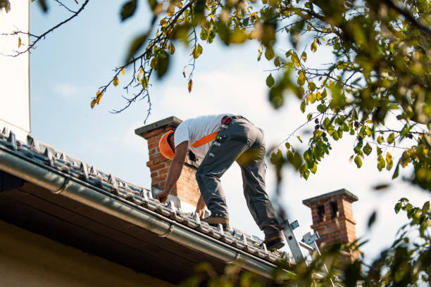 Best Gutter Installation and Roofing  in Crocker, WA